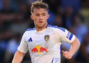 £5 million Southampton priority forward signing from Leeds to offer goals, competition and cover for the squad