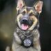 K-9 BART DIES AT JUST 2½ AFTER BEING LEFT WITHOUT WATER IN EXTREME HEAT — INVESTIGATION UNDERWAY IN TENNESSEE