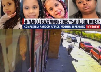 7-YEAR-OLD GIRL FATALLY STABBED IN BROAD DAYLIGHT ON CHICAGO SIDEWALK AS WOMAN IS TAKEN INTO CUSTODY