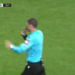 Celtic ROBBED? Stiliyan Petrov Questions UEFA After Controversial Call as Martin O’Neill Suffers European Heartbreak