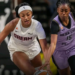 USA Basketball Ban Rumor Sends Shockwaves Through WNBA as Dream and Valkyries Face Anthem Backlash